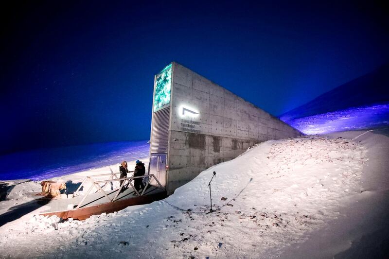 Representatives from many countries and universities arrive in the Svalbard's global seed vault with new seeds. NTB Scanpix via Reuters