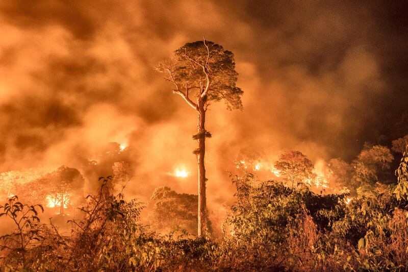 A fire burns out of control, burning forest in the Brazilian State of Maranhão. Most fires are started to clear land for cattle and agriculture - the fires get out of control due to increasingly dry conditions in the Amazon and burn surrounding forest. Maranhão, Brazil