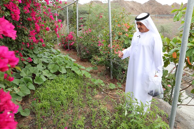 Ahmed Al Hefeiti showing off his plants