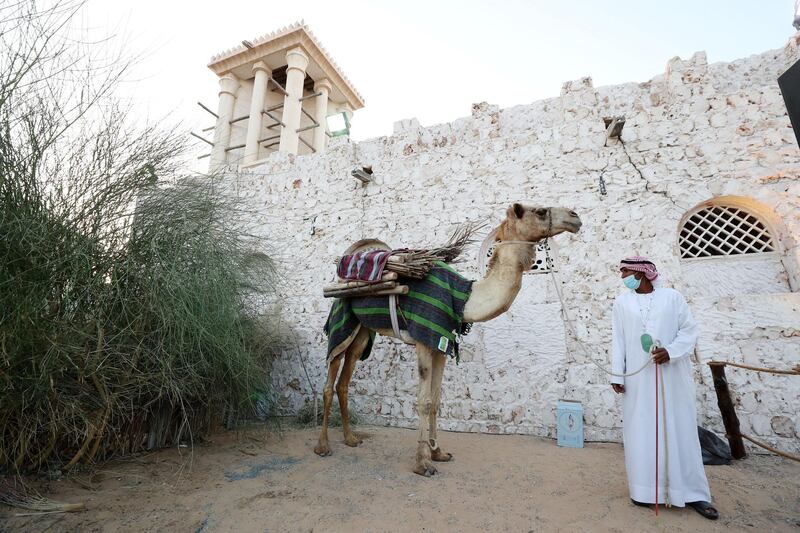 Sharjah, United Arab Emirates - Reporter: Razmig Bedirian. Arts. A camel with his handler in the Bedouin environment at the Heart of Sharjah for Sharjah Heritage Days. Monday, March 22nd, 2021. Sharjah. Chris Whiteoak / The National