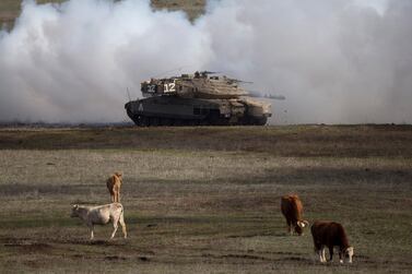 An Israeli Merkava Mark 4 tank drives close to livestock during an exercise in the Israeli-controlled Golan Heights in 2016. AP