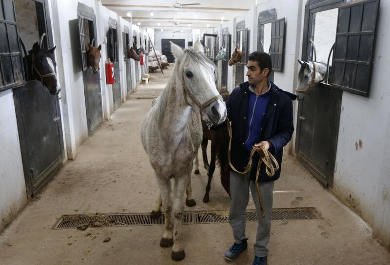 Syrian mare Karen, which hails from the Hadbaa Enzahe strain of Arabian purebreds, stands at a stable in the town of Dimas, west of the capital Damascus. After almost eight years of war, she is one of dozens of Arabian horses from all over Syria recovering from the physical and psychological trauma of the fighting. AFP