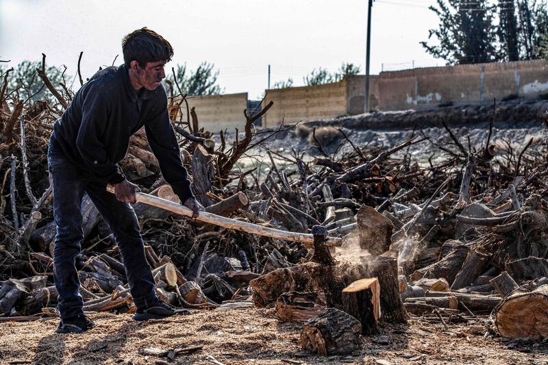 A worker cuts wood to make charcoal.