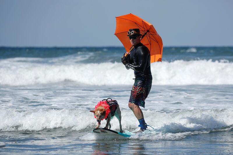 A man and his dog ride a wave together as they compete in the 14th annual Helen Woodward Animal Center "Surf-A-Thon". Reuters