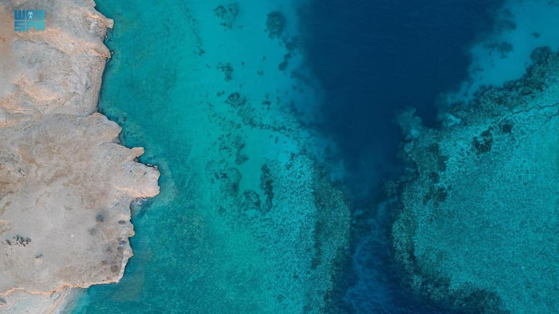لقطات جوية لشواطئ البحر الأحمر شمال غرب المملكة 1442-10-08هـ(واس)



Aerial shots of the Red Sea beaches in Saudi Arabia. SPA