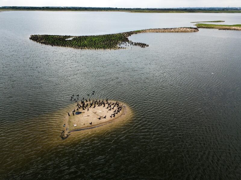 Birds reappear in the bay amid the lack of cars along the coastal highway due to a quarantine imposed by the government to help contain the spread of the new coronavirus in Asuncion, Paraguay. AP Photo