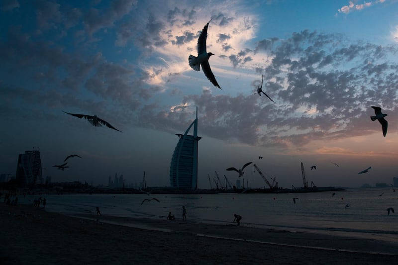 Seagulls soar over those gathered on a beach in front of the luxury Burj Al Arab hotel despite the global new coronavirus pandemic in Dubai, United Arab Emirates, Friday, March 20, 2020. The United Arab Emirates has closed its borders to foreigners, including those with residency visas, over the coronavirus outbreak, but has yet to shut down public beaches and other locations over the virus. (AP Photo/Jon Gambrell)