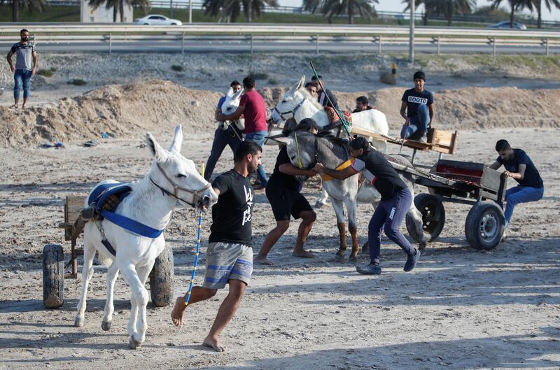 The sport is considered a healthy outlet for village youth who breed the donkeys, train them  and look after them.