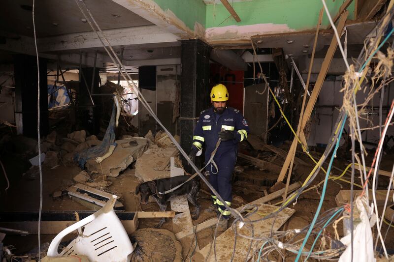 A member of a UAE search and rescue team at work with a sniffer dog in a heavily damaged building. Reuters
