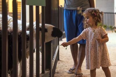 A petting zoo may help a child learn more about the animal kingdom. Courtesy Umm Al Emarat Park