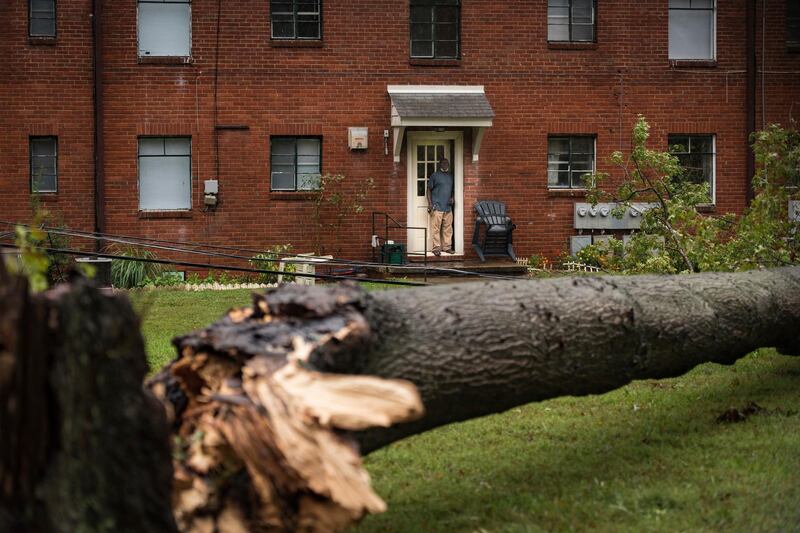 A resident looks at a fallen tree in North Carolina. AP Photo