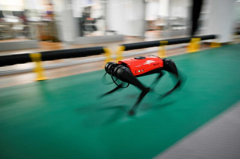 An AlphaDog quadruped robot running in a workshop at the Weilan Intelligent Technology Corporation in Nanjing.  Wang Zhao / AFP