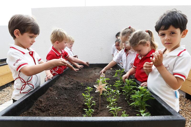 Starting them young. Pupils at Swiss Scientific International School in Dubai learn about planting at the school’s organic garden. Pawan Singh / The National  