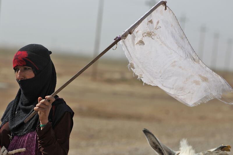 An Iraqi woman, displaced from the outskirts of Islamic State (IS) group stronghold Hawija (about 65 kilometres east of the northern city of Kirkuk), raises a white flag while travelling with family members and a donkey-cart on the road outside the town on October 3, 2017, as Iraqi forces advance to recapture the town from IS fighters.
Iraqi forces on September 29 launched an assault on the northern town of Hawija, one of the last bastions in the country still held by the Islamic State group, which is also under attack in neighbouring Syria. / AFP PHOTO / AHMAD AL-RUBAYE