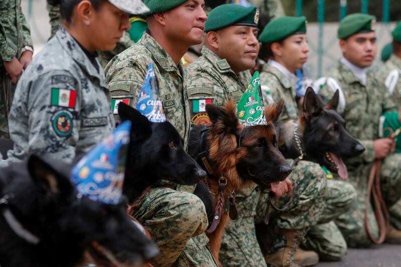 The Mexican Army marked with occasion with a party featuring the cake, party hats and dozens of dogs as guests. EPA 