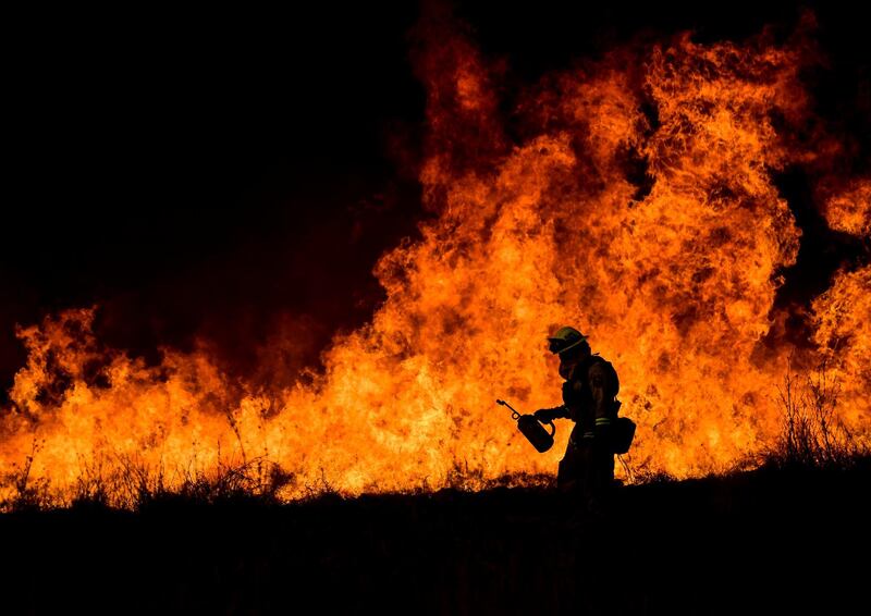 CalFire works in Ventura County as efforts continue against the Thomas Fire in Ojai, California, USA. John Cetrino / EPA