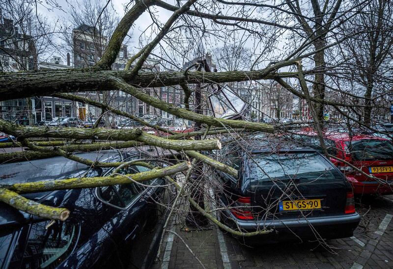 A fallen tree lies over cars in downtown Amsterdam after Storm Eunice hit Northern Europe. AFP