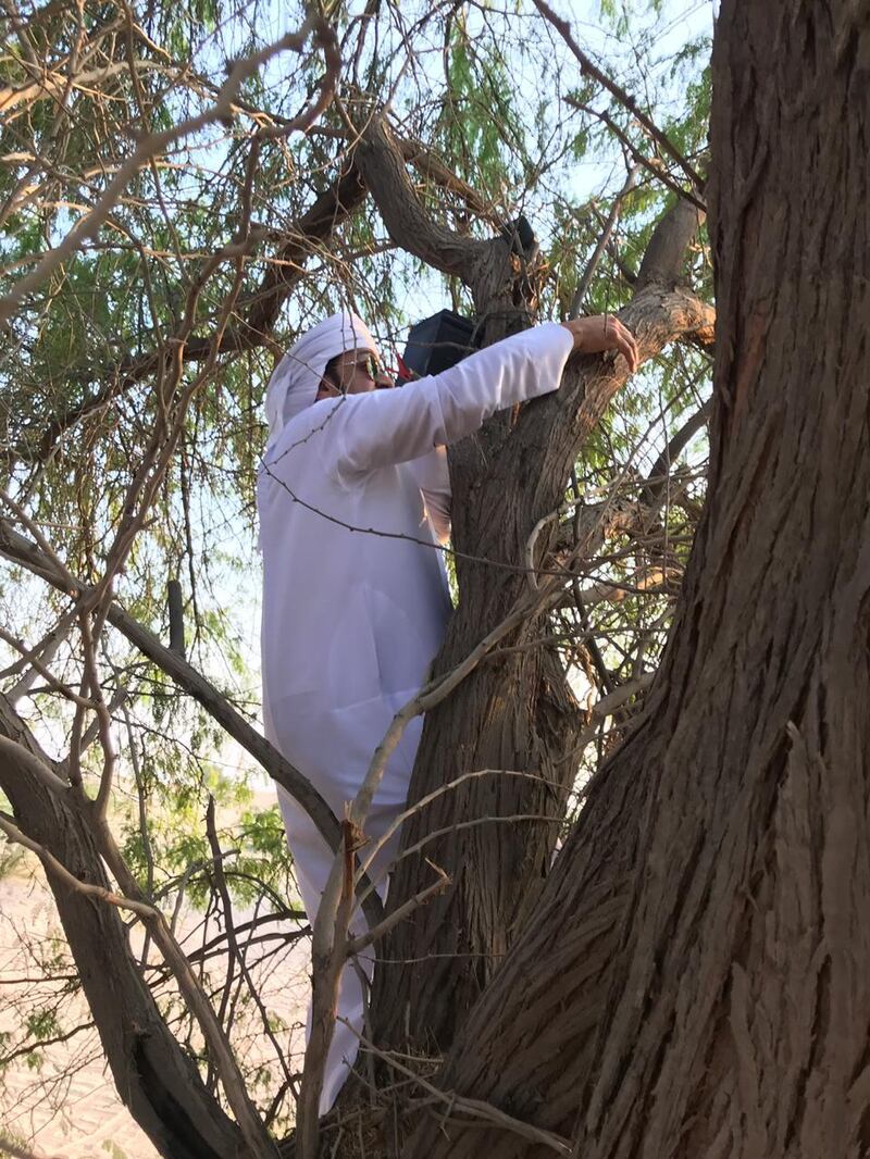 Sharjah Environment and Protected Areas Authority (EPAA) confiscated 1,460 devices used to attract and hunt birds. EPAA