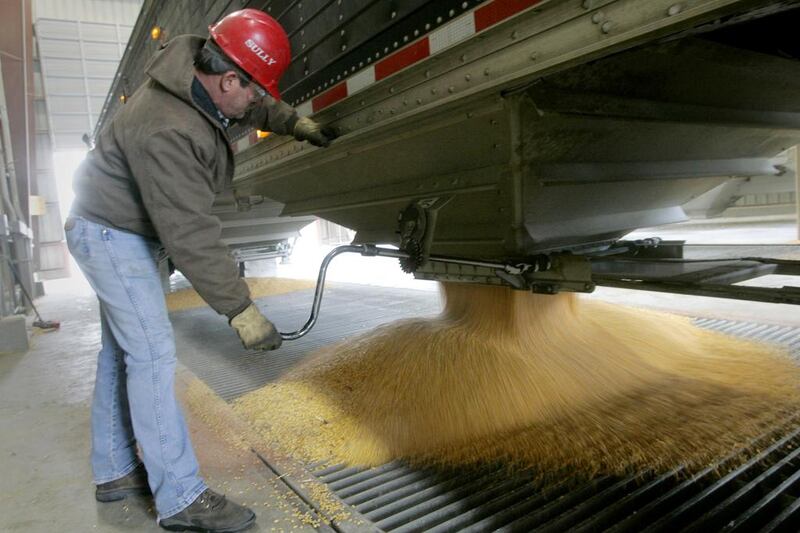 A truck driver unloads his cargo of corn into a chute at the Lincolnway Energy ethanol manufacturing plant where it will be converted into fuel for vehicles. Jason Reed / Reuters