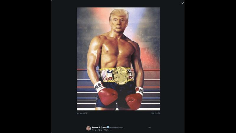 This image shows a screen grab of the Twitter account of US President Donald Trump (@realDonaldTrump), his face surimposed on a picture of Silvester Stallone Rocky III boxing movie, on November 27, 2019 shortly after he posted it. RESTRICTED TO EDITORIAL USE - MANDATORY CREDIT "AFP PHOTO / @RealDonaldTrump" - NO MARKETING - NO ADVERTISING CAMPAIGNS - DISTRIBUTED AS A SERVICE TO CLIENTS
 / AFP / @realDonaldTrump / Eric BARADAT / RESTRICTED TO EDITORIAL USE - MANDATORY CREDIT "AFP PHOTO / @RealDonaldTrump" - NO MARKETING - NO ADVERTISING CAMPAIGNS - DISTRIBUTED AS A SERVICE TO CLIENTS
