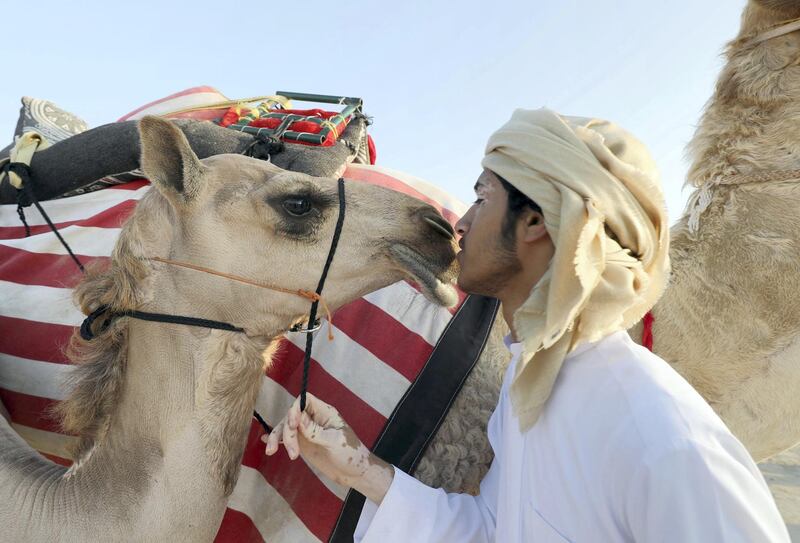 A handler rubs noses with a camel.