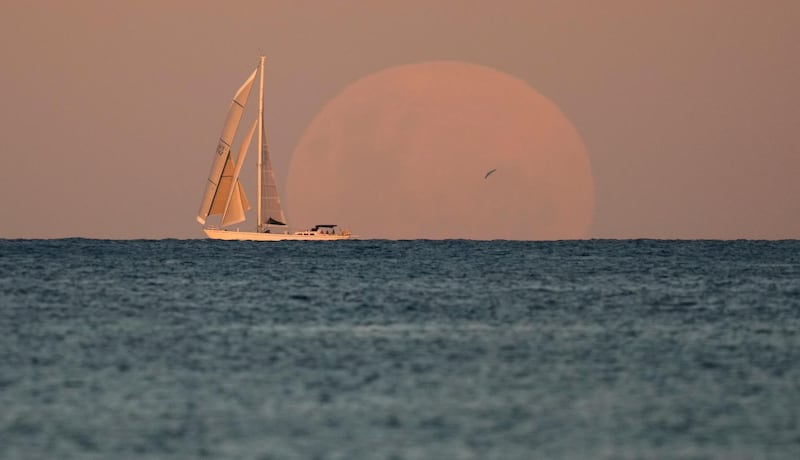 A yacht sails past as the moon rises in Sydney Wednesday, May 26, 2021. A total lunar eclipse, also known as a Super Blood Moon, will take place later tonight as the moon appears slightly reddish-orange in colour. (AP Photo/Mark Baker)
