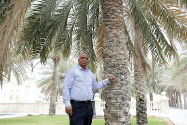 Dr Yassir Makkawi , a professor at the American University of Sharjah, says the treasured Date Palm tree could be a valuable resource in the fight against climate change. Pawan Singh / The National