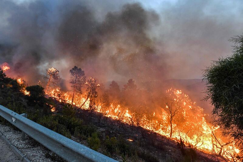 Authorities said on Monday that 97 fires were burning, affecting forests and agricultural areas in 16 governorates on the country’s eastern coast. AFP