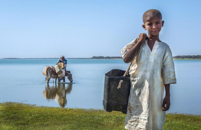 Photo by Hussein taken of a child in Kassala, Sudan. His job is cleaning up after the sheep. Courtesy National Geographic Abu Dhabi 