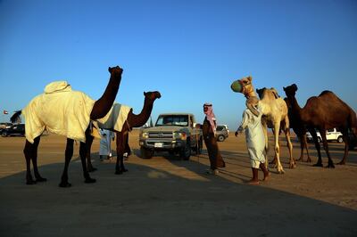 Al Dhafra, 22, Dec, 2017: General view of the Million Street at the Al Dhafra Festival in UAE  . Satish Kumar for the National/ Story by Anna