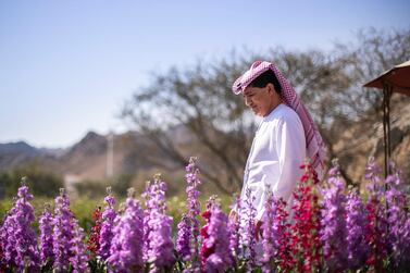 FUJAIRAH, UNITED ARAB EMIRATES. 16 FEBRUARY 2021. Mohammed Al Mazroui's UAE Flower Farm in Asimah. Photo: Reem Mohammed / The National Reporter: Alexandra Chavez