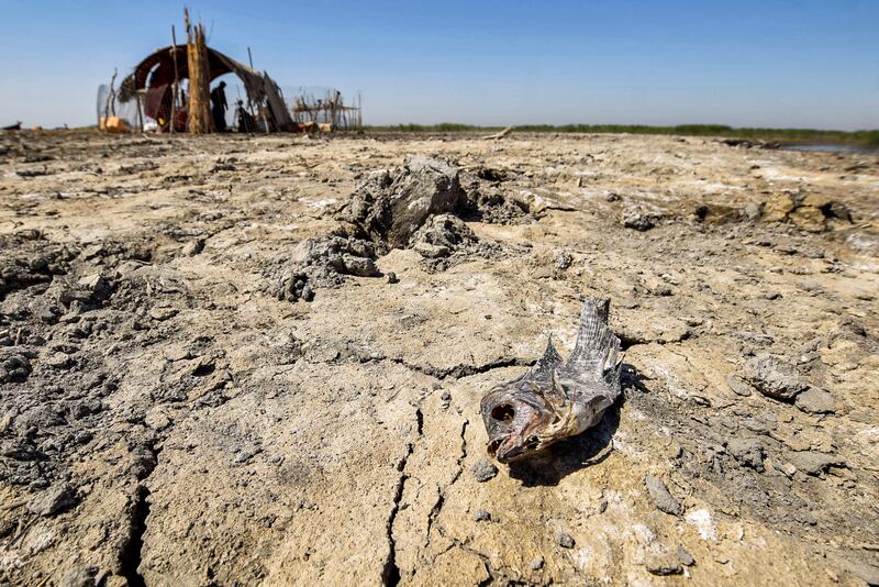 Southern Iraq endures a blistering heatwave in June.