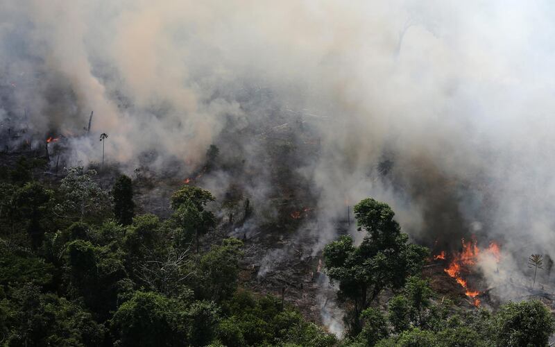 An aerial view of a tract of Amazon jungle burning as it is being cleared by loggers and farmers near the city of Novo Progresso, Para state, Brazil.  Reuters