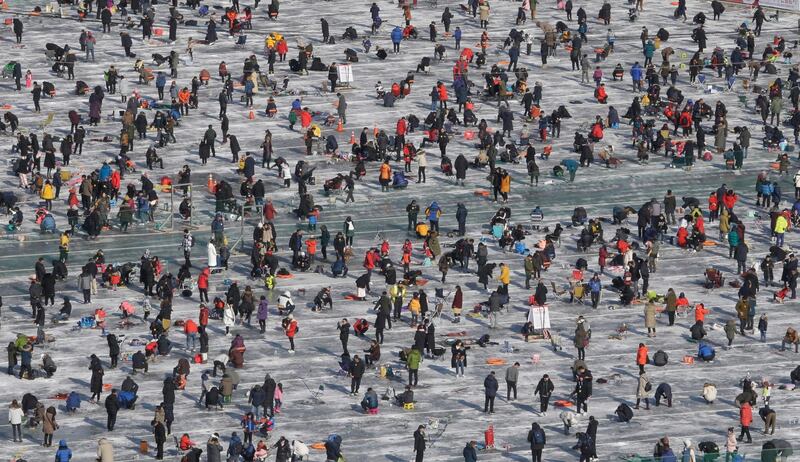 Anglers cast lines through holes drilled in the surface of a frozen river during a trout catching contest in Hwacheon, South Korea. The contest is part of an annual ice festival which draws over 1,000,000 visitors every year. Ahn Young-joon / AP Photo