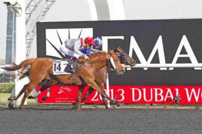 Al Mamun Monlau, ridden by Christophe Soumillon, was the third Qatari-owned horse in the past four years to win the Purebred Arabian Group 1 race at Meydan Racecourse last night. Razan Alzayani / The National