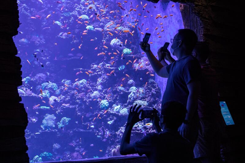 Visitors explore the Red Sea Wreck zone.