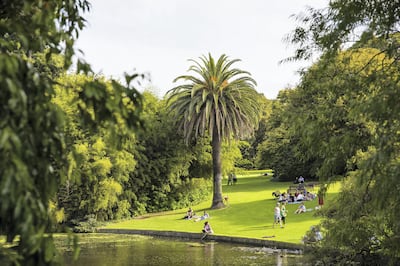 People relaxing at Royal Botanic Gardens. Photo by Josie Withers