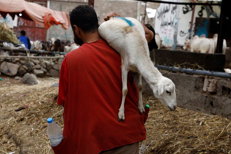 A Yemeni buys a sacrificial sheep at a market in Sanaa. EPA 