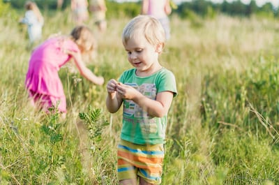 Children can search for mini beasts in the garden or a park and tick them off a list. Photo: Vitolda Klein / Unsplash