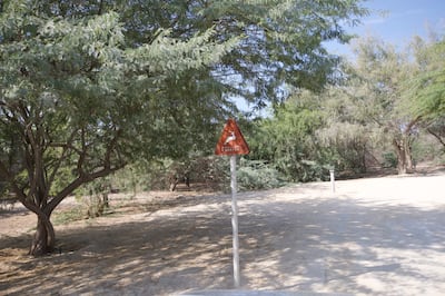 A sign warning drivers to be mindful of deer crossing or by the roadside. Ahmed S Almansoori / The National