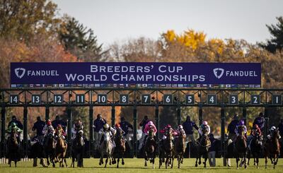 LEXINGTON, KY - NOVEMBER 07: The horses leave the gate at the start of the Breeders Cup Mile at Keenland on November 6, 2020 in Lexington, Kentucky.   Bobby Ellis/Getty Images/AFP***Local Caption***
== FOR NEWSPAPERS, INTERNET, TELCOS & TELEVISION USE ONLY ==
