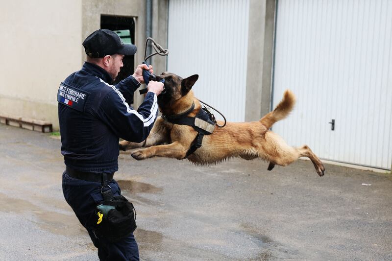 A French police officer from the National Dog Unit trains a dog in Cannes-Ecluse, south of Paris. Explosive-sniffing dogs will play a key security role at the Paris Olympics this summer.  AFP
