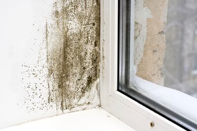 The damp is attacking the wall at a window (iStockphoto.com)
