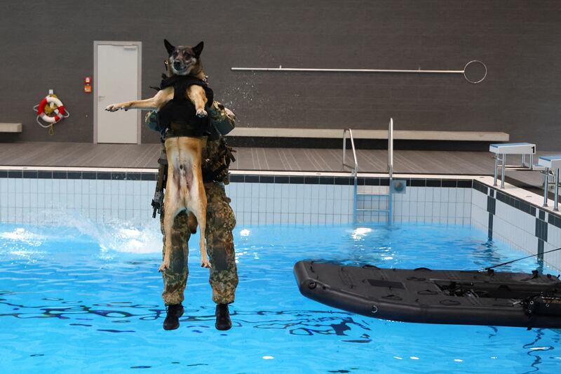 A serviceman jumps with a dog into water during training in Calw, Germany. Reuters