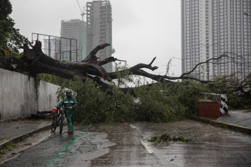 A man walks his bike past a fallen tree following Typhoon Vamco, at a road in Quezon City, Metro Manila. Reuters