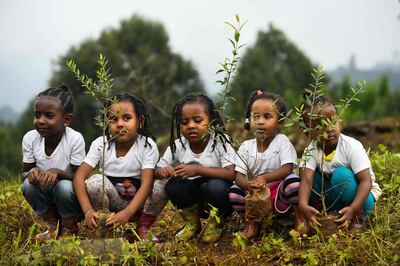 TOPSHOT - Young ethiopian girls take part in a national tree-planting drive in the capital Addis Ababa, on July 28, 2019. Ethiopia plans to plant a mind-boggling four billion trees by October 2019, as part of a global movement to restore forests to help fight climate change and protect resources. The country says it has planted nearly three billion trees already since May. / AFP / MICHAEL TEWELDE
