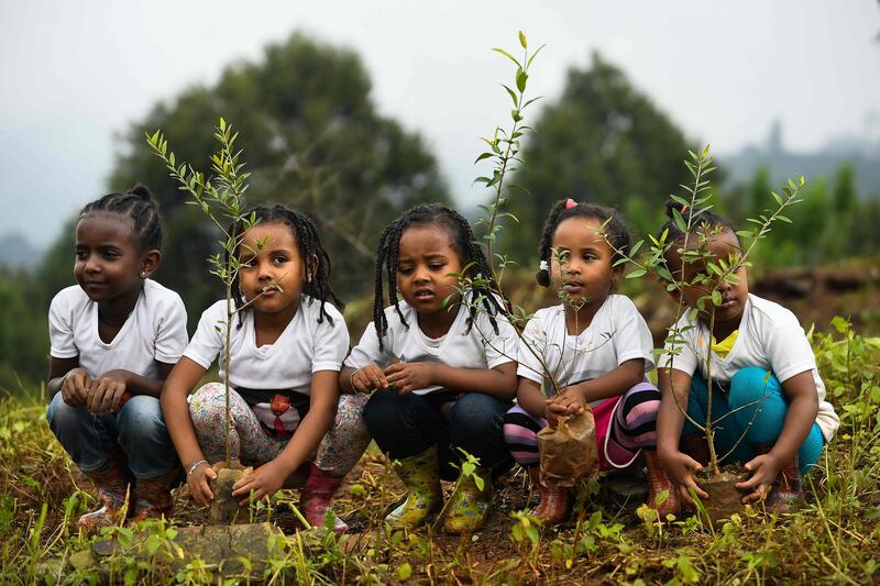 TOPSHOT - Young ethiopian girls take part in a national tree-planting drive in the capital Addis Ababa, on July 28, 2019. Ethiopia plans to plant a mind-boggling four billion trees by October 2019, as part of a global movement to restore forests to help fight climate change and protect resources. The country says it has planted nearly three billion trees already since May. / AFP / MICHAEL TEWELDE
