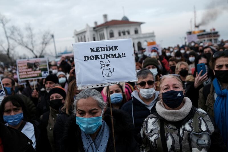 Animal rights activists with a placard that reads: 'Don't touch my cat'. Reuters