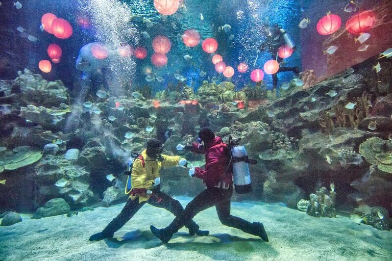 Scuba divers perform an underwater Kung Fu performance in connection with Chinese New Year at the 'Aquaria KLCC' aquarium, in Kuala Lumpur, Malaysia The 'Aquaria KLCC' is a 60,000 square foot oceanarium in the city centre of Kuala Lumpur and presents more than 5,000 aquatic and land-bound animals from Malaysia and around the world. Ahmad Yusni / EPA