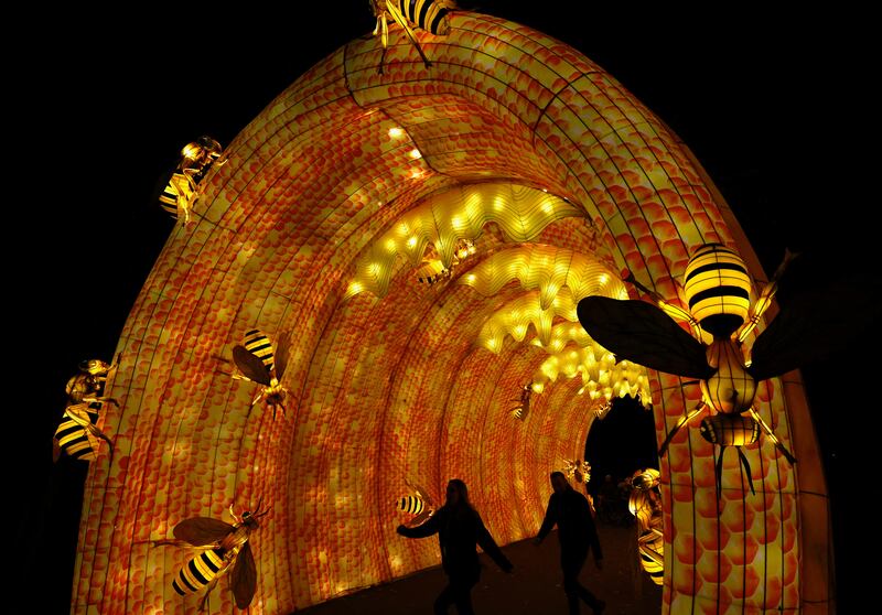 Visitors walk between huge lanterns depicting bugs and flowers at Belgium's Planckendael Zoo in Mechelen, Belgium. Reuters